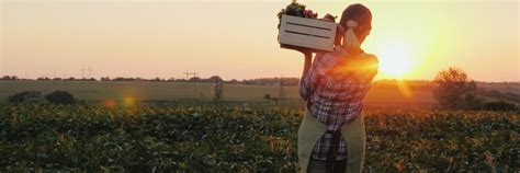 wyoming department  agriculture accepting applications