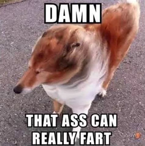 Damn That Ass Can Really Fart Ifunny