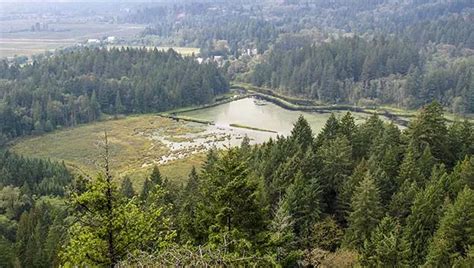 Minnekhada Regional Park Hiking Near Coquitlam BC Vancouver Trails