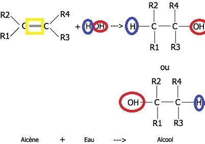 CHIMIE ORGANIQUE RÉACTIVITÉ DES MOLÉCULES ORGANIQUES Cartes Quizlet