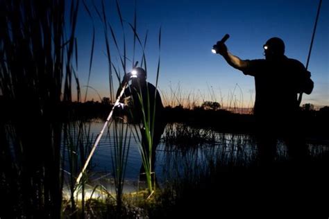 Frog Gigging: A Nighttime Treat | Conservation Federation of Missouri