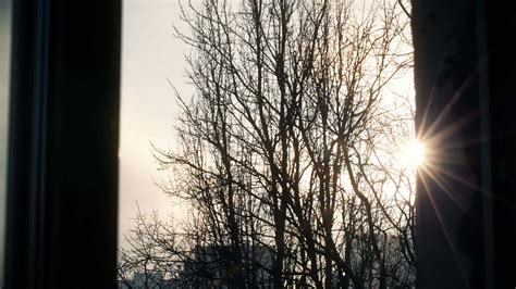 scene  window  stock video  vecteezy