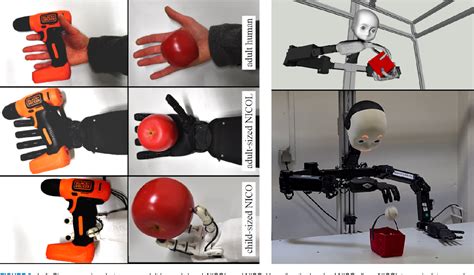 Figure 4 From Nicol A Neuro Inspired Collaborative Semi Humanoid Robot