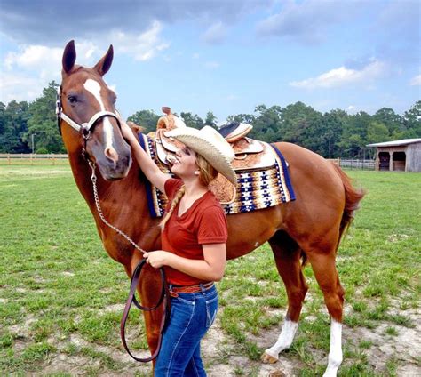 Athenian Lady From Rescue To Horse Of Dreams Hoofbeats