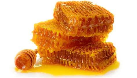 how to use manuka honey on dog wounds