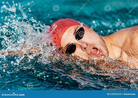 Swimming Man Swimming Crawl Stock Image Image Of Triathlete Pool