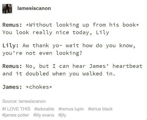 Pin By Maria Jose On Harry Potter Gay Harry Potter Harry Potter Puns Harry Potter Funny