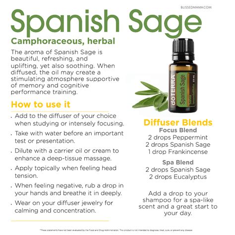 Spanish Sage Essential Oil Benefits And Uses With Doterra