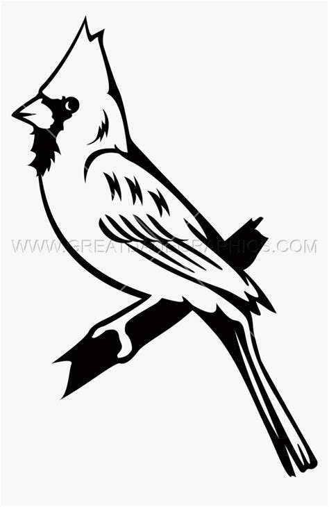 Transparent Cardinals Png - Cardinal Black And White, Png Download ...
