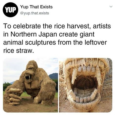 50 Things You Probably Never Knew Existed Shared By “Yup That Exists ...