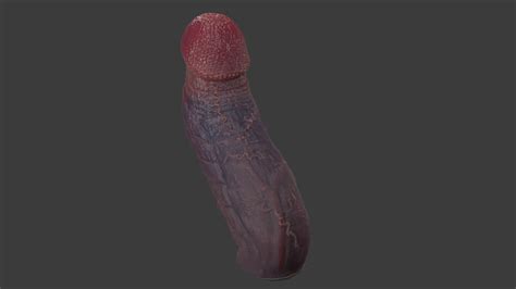 Mayram Monster Dildo Penis Sextoy Rigged 3D Model By TriDsign