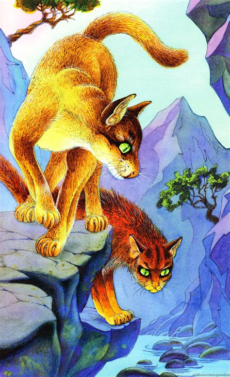 Картинки из книги "Герои племен" — Коты-Воители Знамение Звёзд