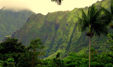 Hawaii Mountain Heights at Patricia Salinas blog