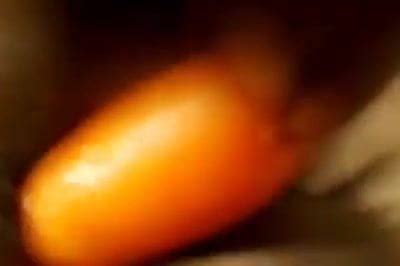 A American Dad Xnxx Pornhub Xxx Porn Video Ed Xhamster