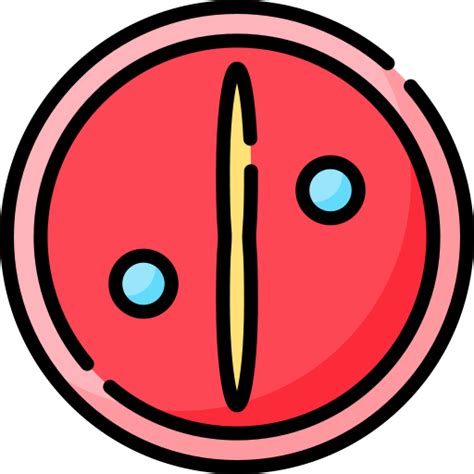 Zygote Special Lineal Color Icon