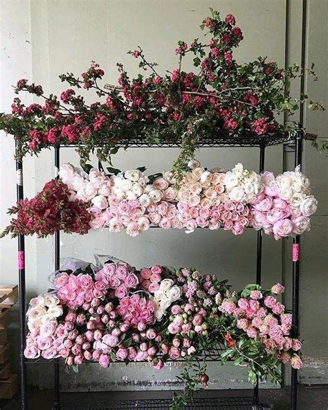 495 Likes 16 Comments Mayesh Wholesale Florist Mayeshwholesale On