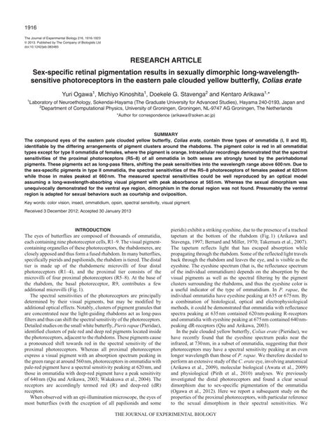 PDF Sex Specific Retinal Pigmentation Results In Sexually Dimorphic Long Wavelength Sensitive