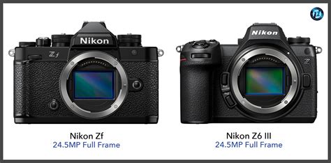 Nikon Zf vs Nikon Z6 III: What Should You Get?