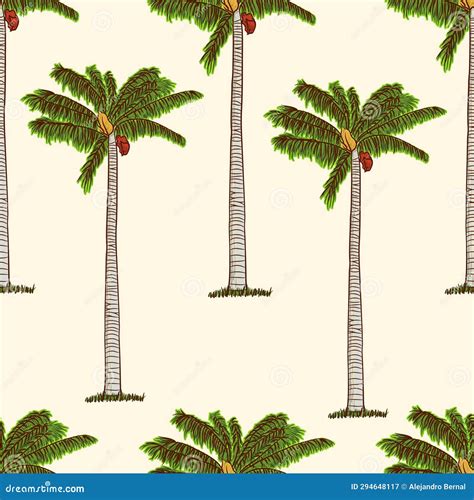 National Colombian Tree Palm Knowed As Palma De Cera In Spanish Or Wax