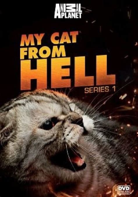 My Cat from Hell - streaming tv show online