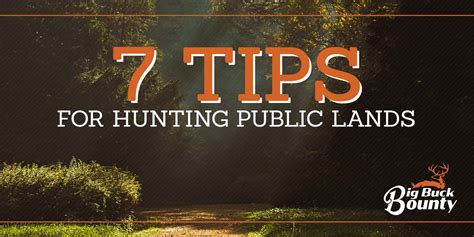 7 Tips For Deer Hunting On Public Land Big Buck Bounty Jackson MS