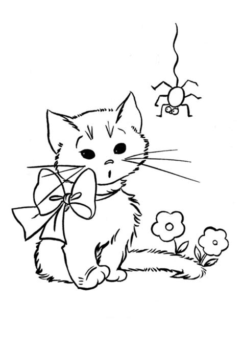Раскраска Котик изучает паучка распечатать - Для детей 4-5 лет