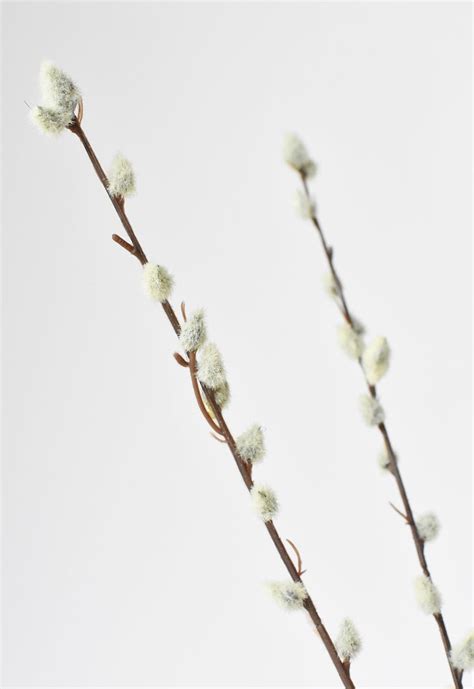 31 Faux Pussy Willow Stem Etsy