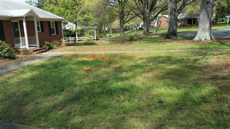 A Lawn Restoration Project Growingreen