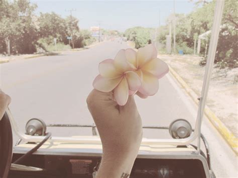 Dirty Blonde LA ISLA BONITA