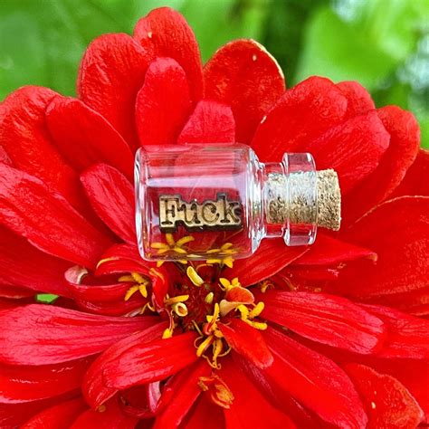 One Last Fuck To Give Emergency Fuck Stash In Glass Jar A Etsy