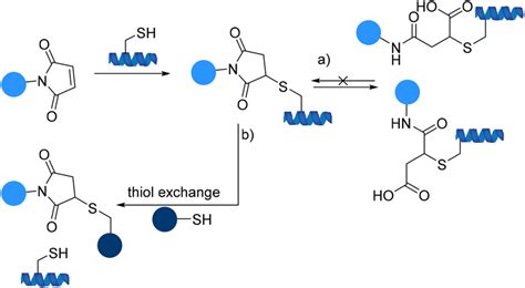 Scheme 24 A General Michael Addition And Hydrolytic Pathway Of