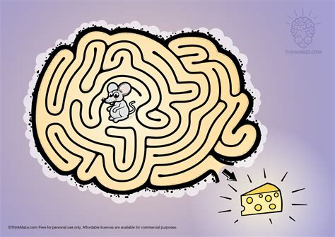 beautiful  mazes  kids   mouse maze