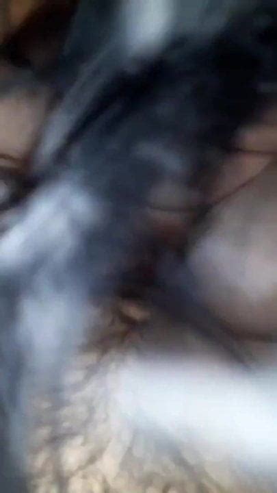 Ali Sinem Free Homemade HD Porn Video C XHamster