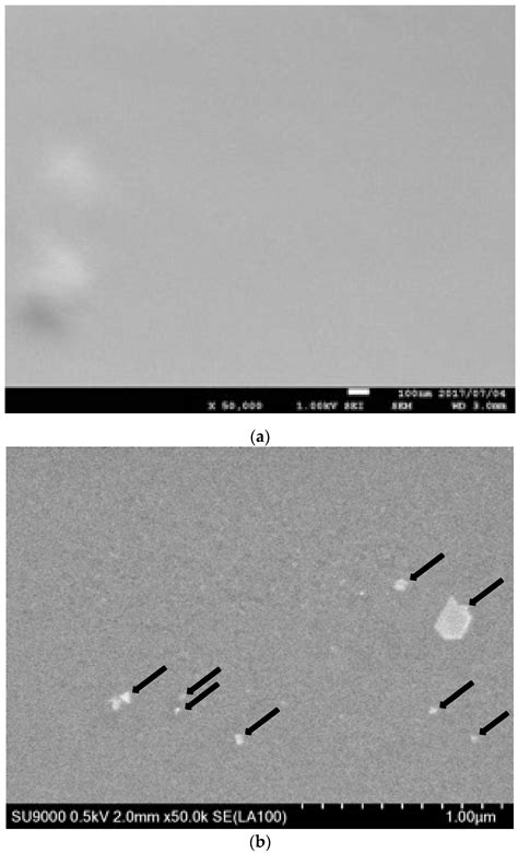 Membranes Free Full Text Antimicrobial Properties Of A Copper