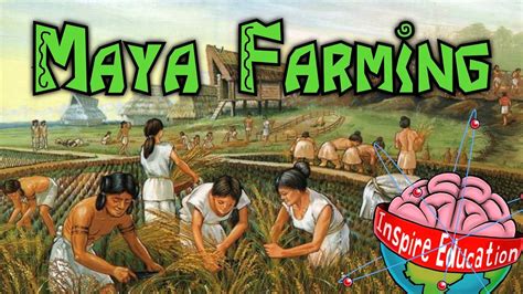 Maya Farming - YouTube