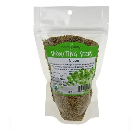 Red Clover Sprouting Seeds Full Of Beans