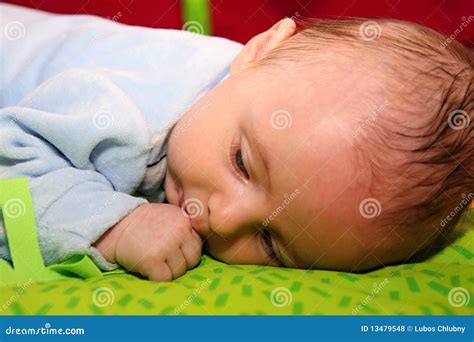 Baby Sucks The Thumb Stock Photo Image Of Babe Infant