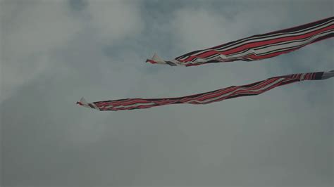 Balinese Traditional Kites Janggan Red White Black Long Tail Bird
