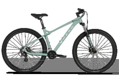 2021 HARO Double Peak 29 Sport - Rebound Adventure Cycles LLC