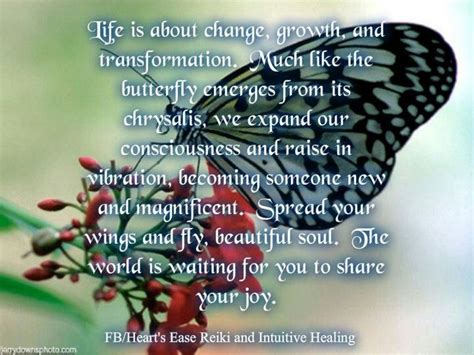 Life is about change, growth & transformation, much like butterfly ...