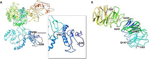 Identifying Epstein Barr Virus Peptide Sequences Associated With