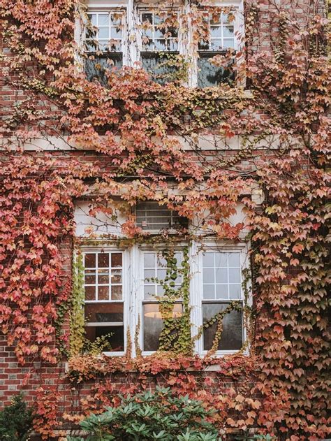 2025 Fall Foliage in Boston: 14 Best Spots, Timing, and More