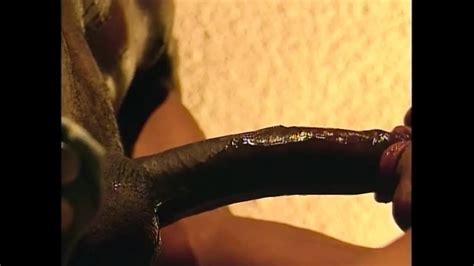 Janet Jacme Porn Videos Porn Star Sex Scenes XHamster