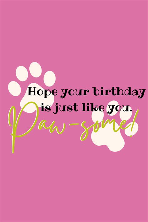 29 "Re-BARK-able" Dog Birthday Quotes - Darling Quote