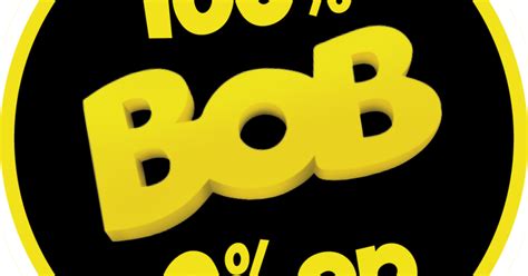 Bob is briljant. En de Bob ook | de Volkskrant