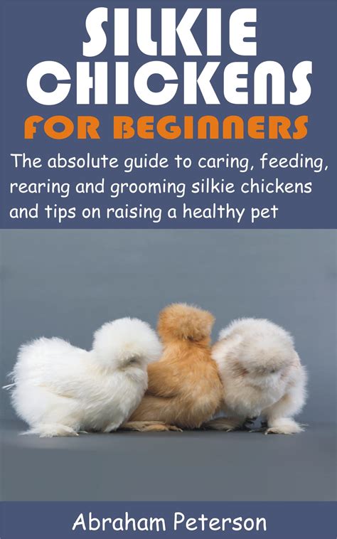 Silkie Chickens For Beginners The Absolute Guide To Caring Feeding