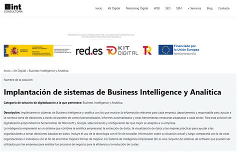 Business Intelligence Y Anal Tica Int Consultor A