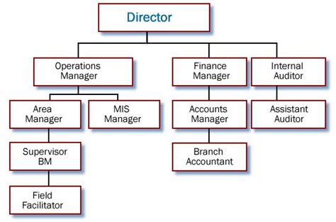 Hsbc Organisational Structure Chart A Visual Reference Of Charts