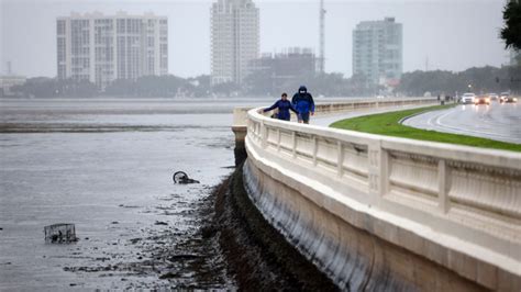 Wild Videos Show Tampa S Bayshore Blvd Sucked Dry Due To Hurricane Ian Reverse Storm Surge