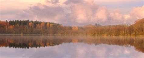 Lake Banner Hoosier Village